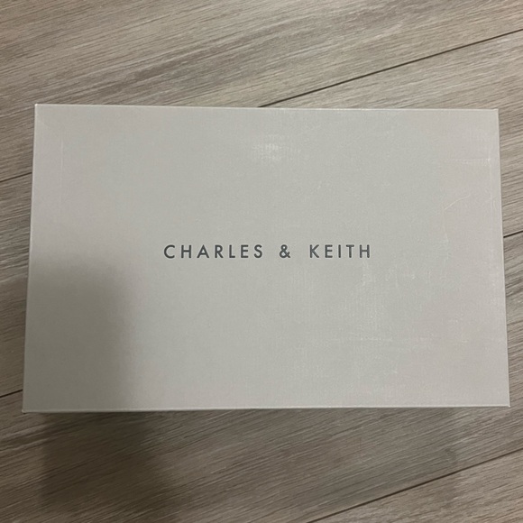 Charles & Keith Emmy Stiletto Heel Pumps - Picture 4 of 7